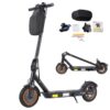 Scooters elétricos Twofish V1 Max 400 W 36 V