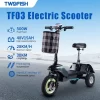 Trotiineta Elétrica Twofish Tf03 (4)